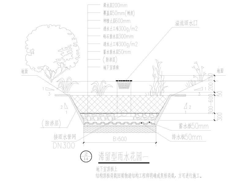 滞留型雨水花园一