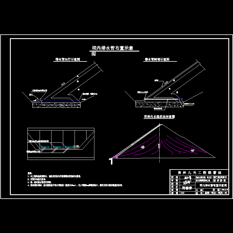 坝内反向排水管布置示意图.dwg