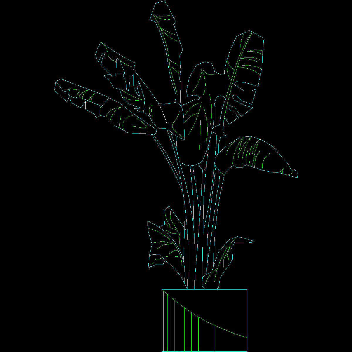 [CAD]盆栽植物图纸块8