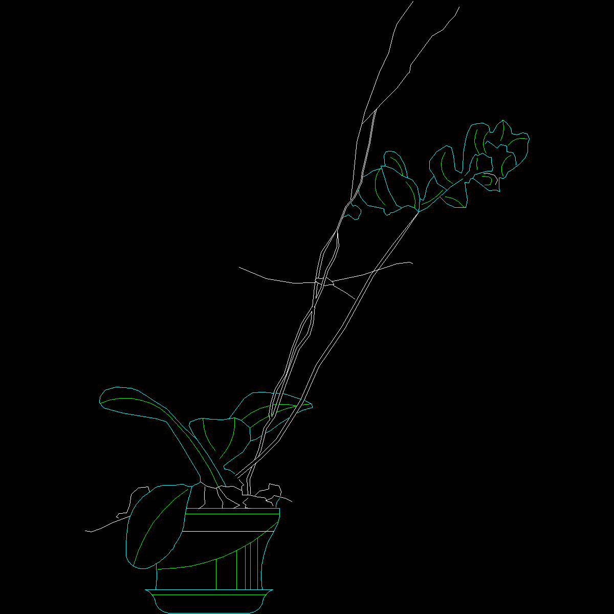 [CAD]盆栽植物图纸块3